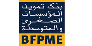 Plan de travail 1 copie 14